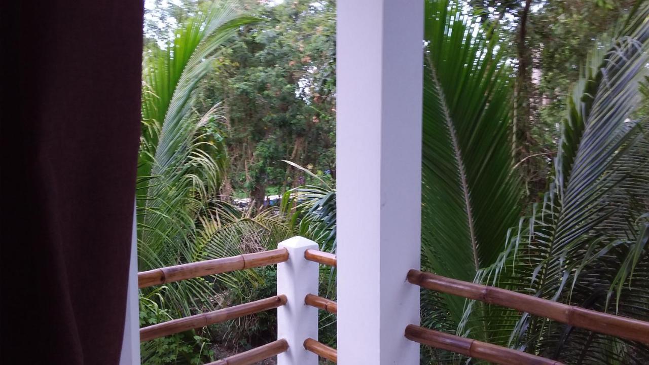 Mini Pini Bird Watching And Cenote Loft Villa Cozumel Exteriör bild
