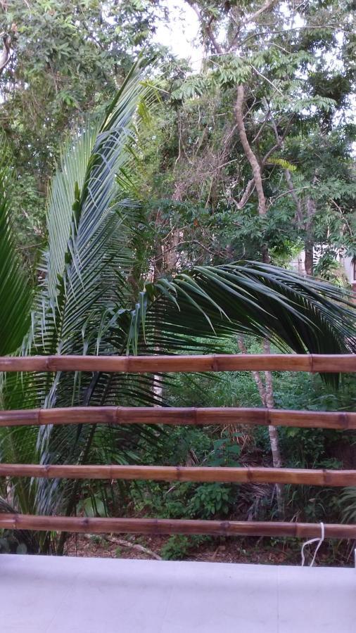 Mini Pini Bird Watching And Cenote Loft Villa Cozumel Exteriör bild