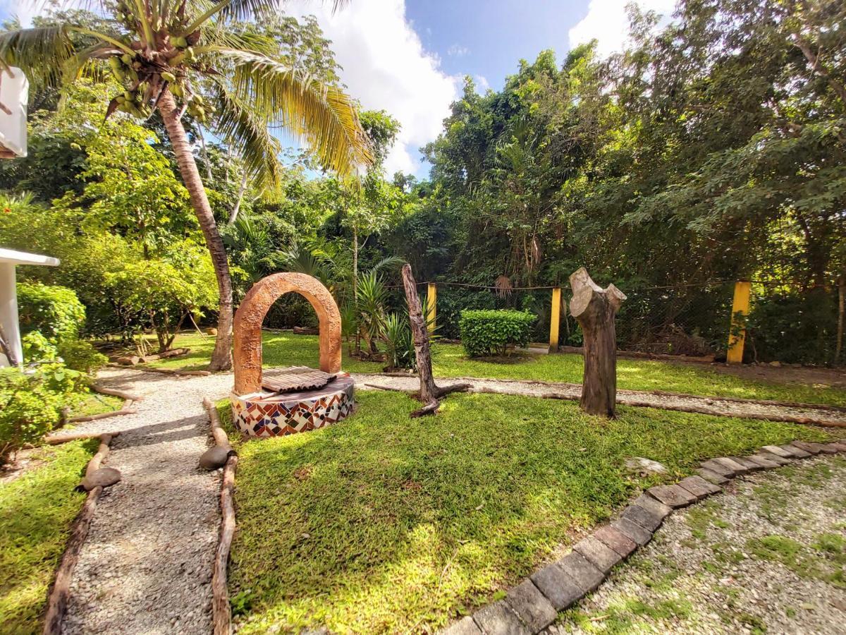 Mini Pini Bird Watching And Cenote Loft Villa Cozumel Exteriör bild