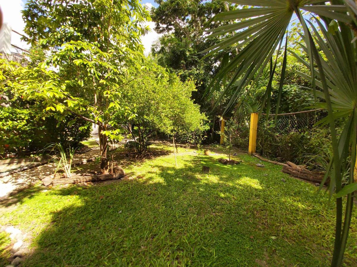 Mini Pini Bird Watching And Cenote Loft Villa Cozumel Exteriör bild